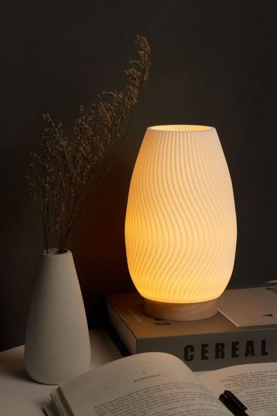 Lotus Lamp - Đèn bàn nghệ thuật lấy cảm hứng từ thiên nhiên - Ảnh 4