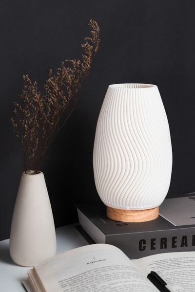 Lotus Lamp - Đèn bàn nghệ thuật lấy cảm hứng từ thiên nhiên - Ảnh 3